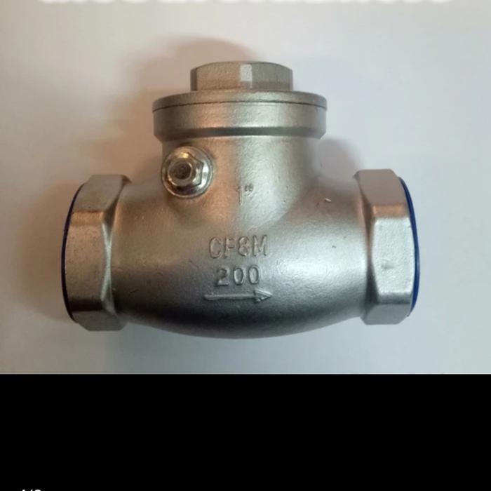 Swing Check Valve 2 Inch