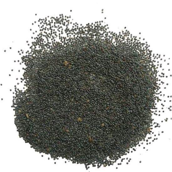 Benih Moss Rose Isi ratusan Biji - Warna Merah, Ungu, Kuning, Putih, dan Pink Bunga