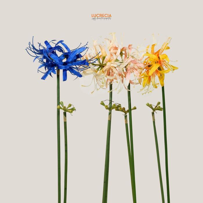Lycoris Radiata Lily Bunga Artificial Hiasan Dekor Wedding Interior Rumah Event Art-81