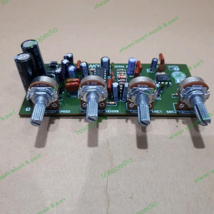 pre amp mic echo
