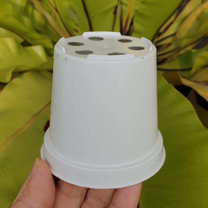 Pot bunga hitam polos kecil 8cm