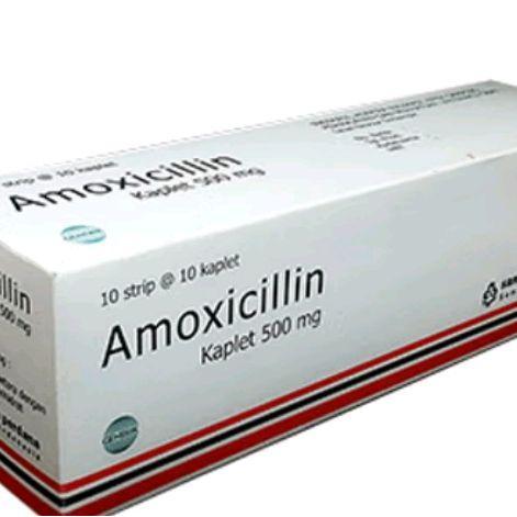 Amoxicillin 500Mg 1 Box