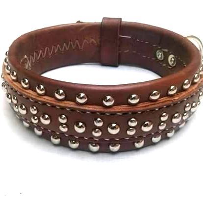 Kalung Anjing Besar