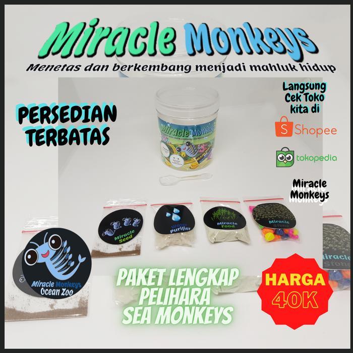 Miracle Monkeys - Peliharaan Ajaib Sea Monkey Original