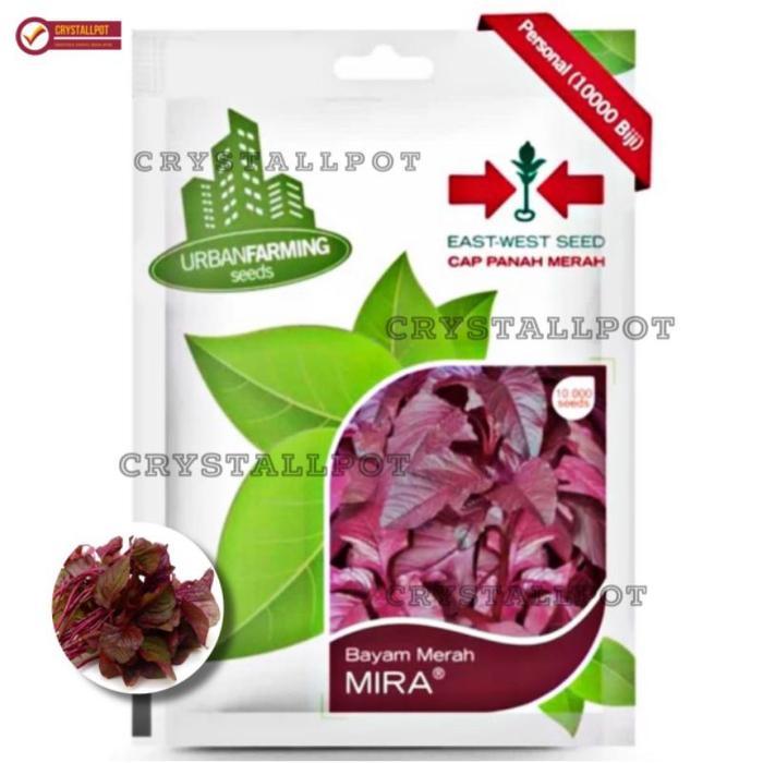 Tanamsegar- Benih Bibit Bayam Merah Mira Cap Panah Merah - Bayam Merah Mira