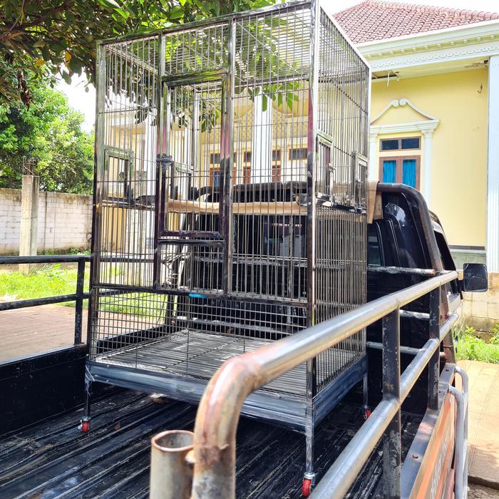 Kandang burung macaw kaka tua amazon bahan stainless