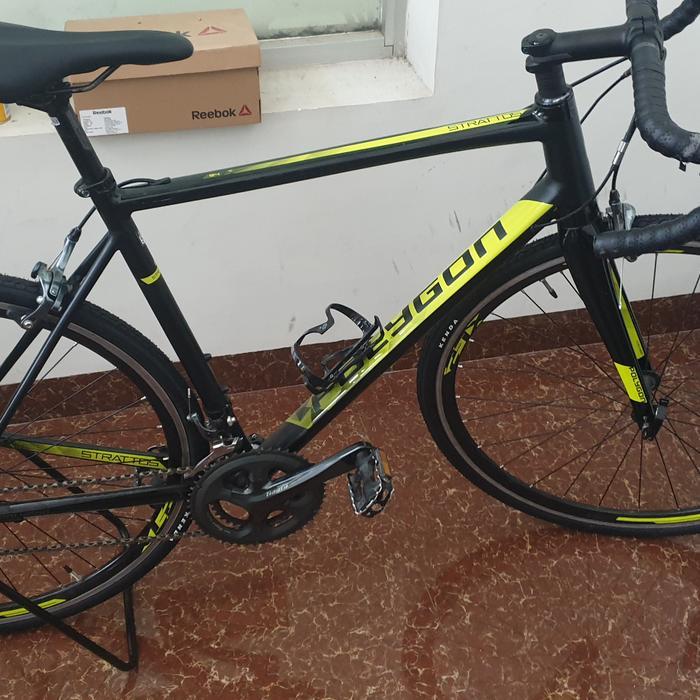 polygon strattos s4 ( L )