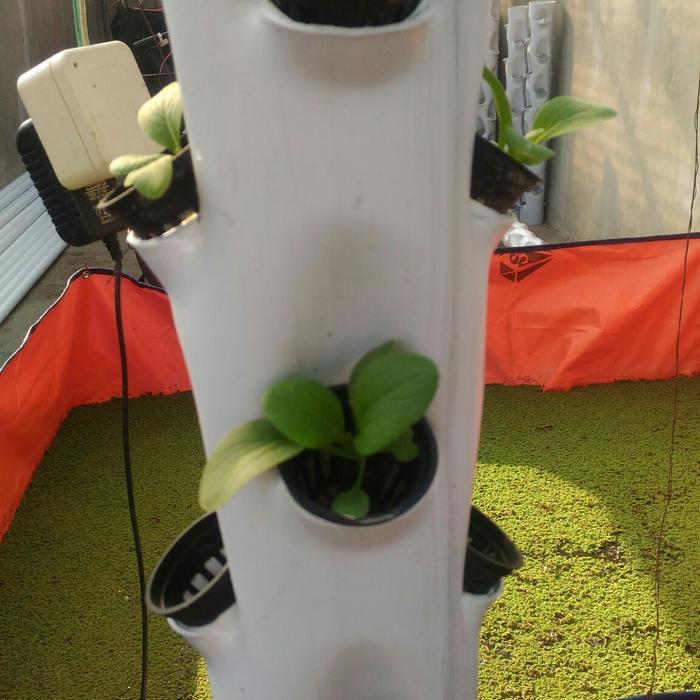Ready Pot Tower Vertikal Hidroponik 4 Inch 1,5 M 36 Lubang Include Netpot Terlaris