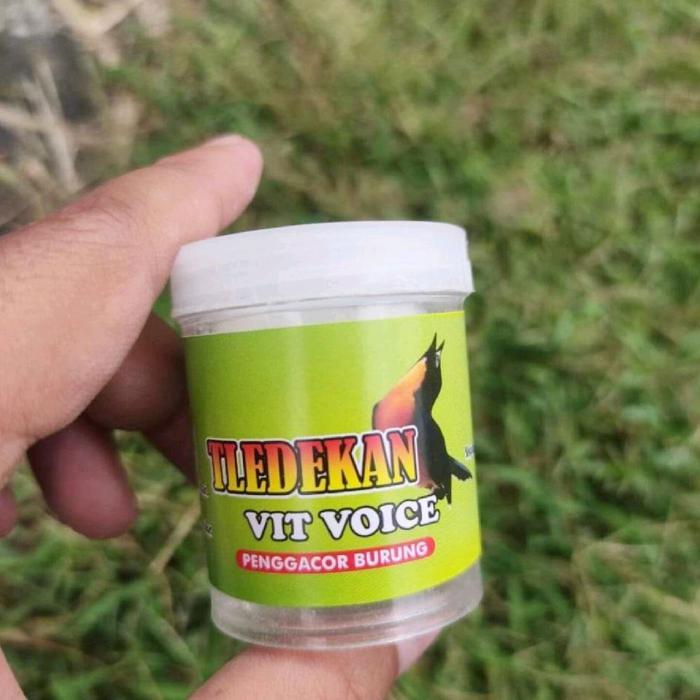 vitamin premium penggacor tledekan Vit voice penggacor burung sulingan atau Tledekan