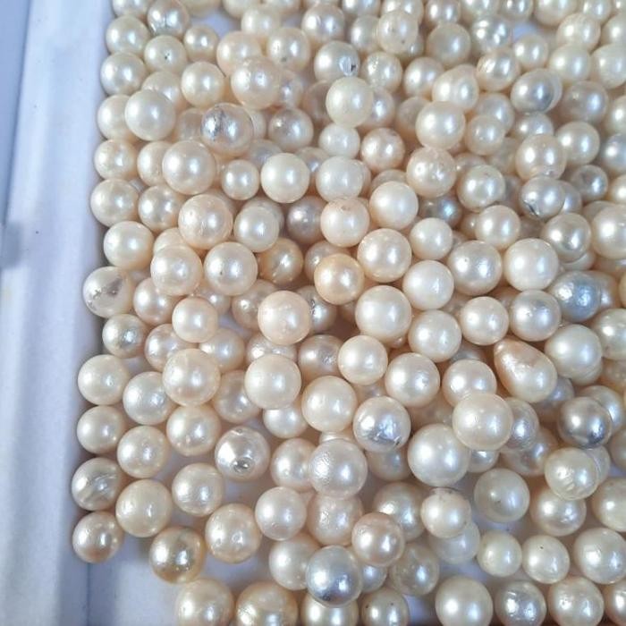 Mutiara Air Laut Asli Mutiara Lombok mutiara utuh mutiara