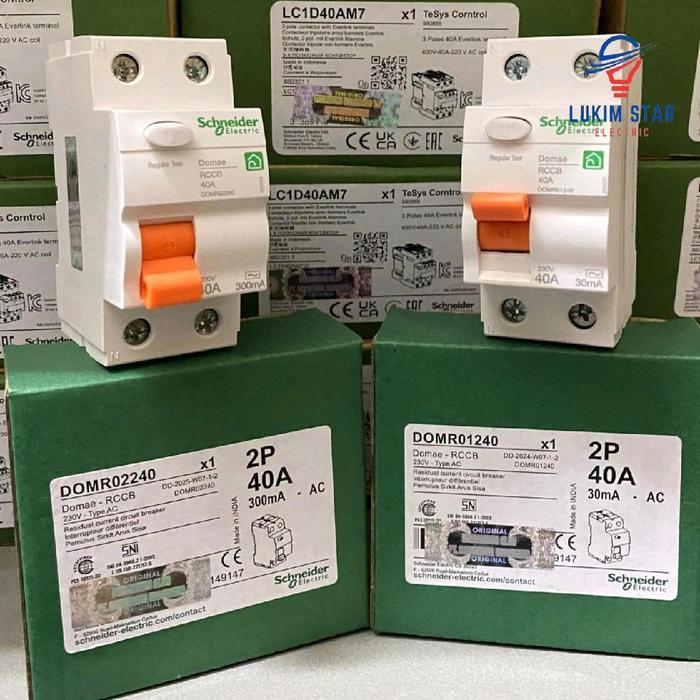Rccb Elcb Domae Schneider 2P 40A 30Ma/300Ma Elcb Domae 2P 6Ka Ac