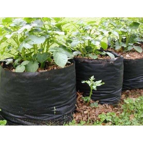 Promo Polybag Tanaman 40X40 Isi 100 Pcs / Polybag Kebun 40X40 Isi 100 Lembar / Plastik Polybag 40X40
