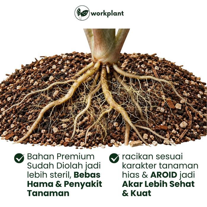 SALE Aroid Mix - Media Tanam Premium Tanaman Hias Aroid