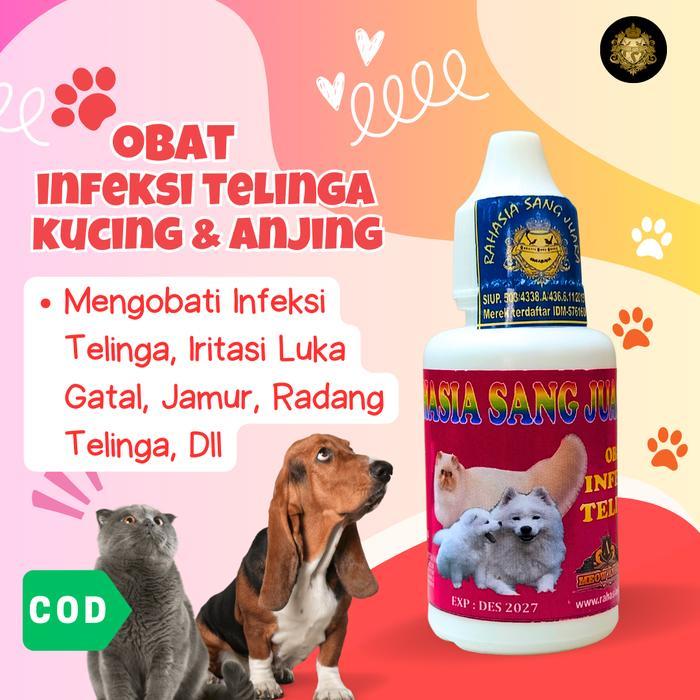 OBAT TETES TELINGA KUCING DAN ANJING BERAIR BAU GATAL BERJAMUR KOTOR