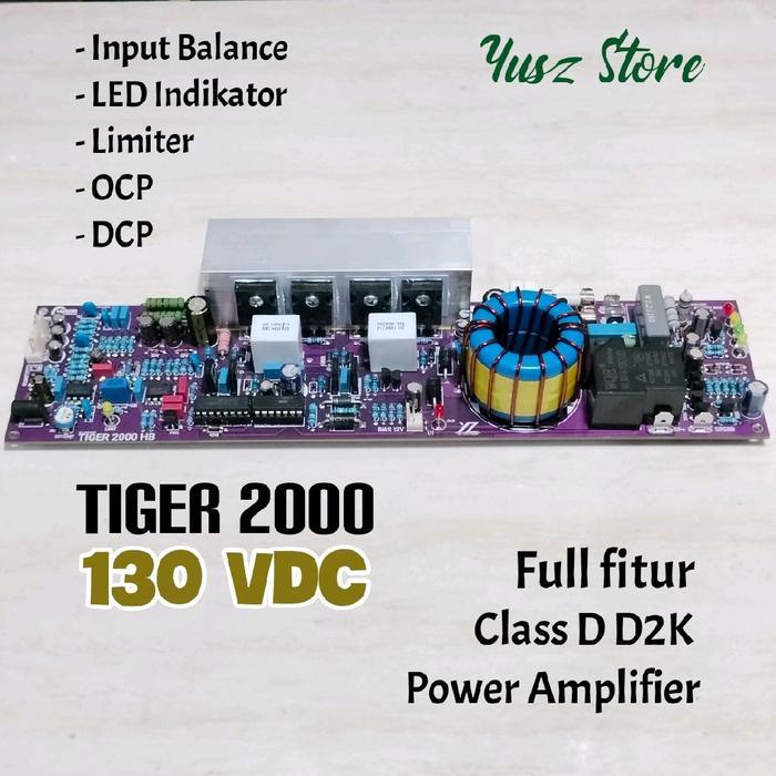 Ter 2000 Full fitur 130VDC Class D2K Halfbridge Class D power Amplifier