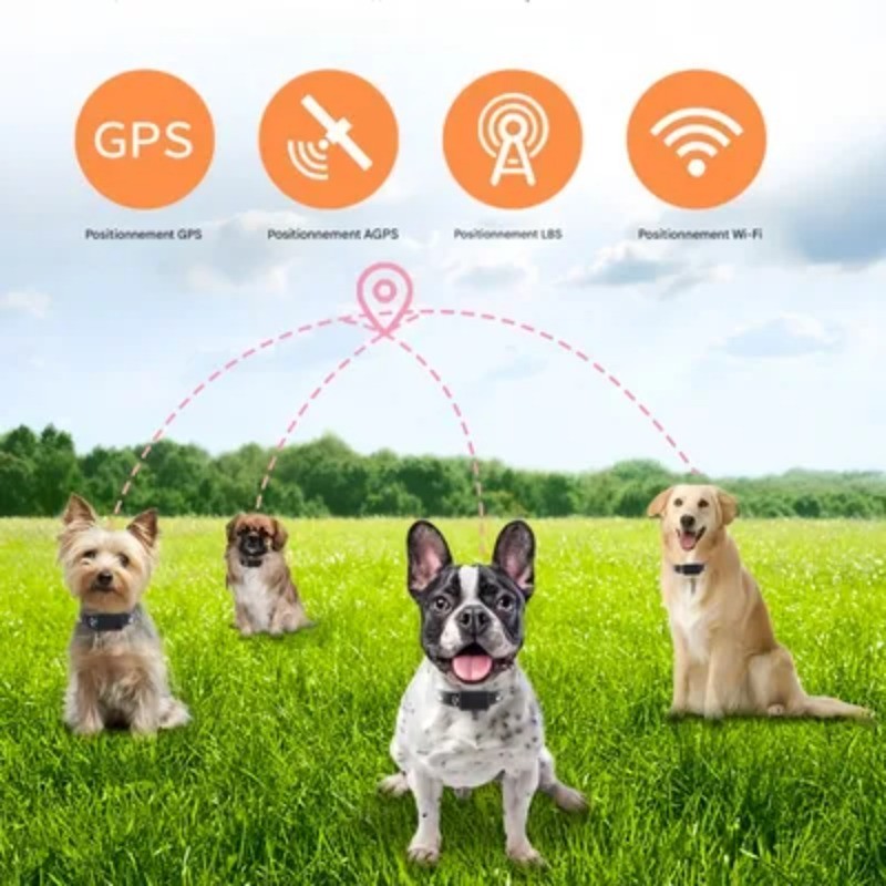 Wireless Smart Dog Collar Pet GPS Real-time Tracking Collar Mini Collar Tracker for Dog Cat