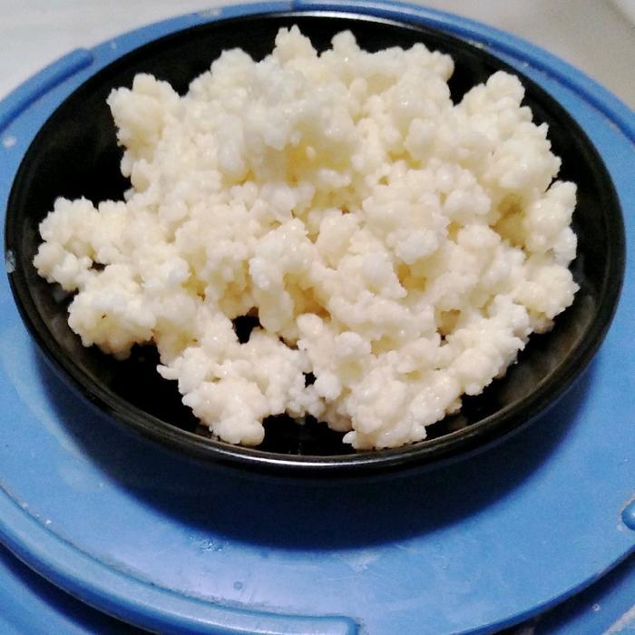 Diskon Kefir Grains / Bibit Kefir Asli Original Grade A, Kefir Grains Hidup Bisa Digunakan