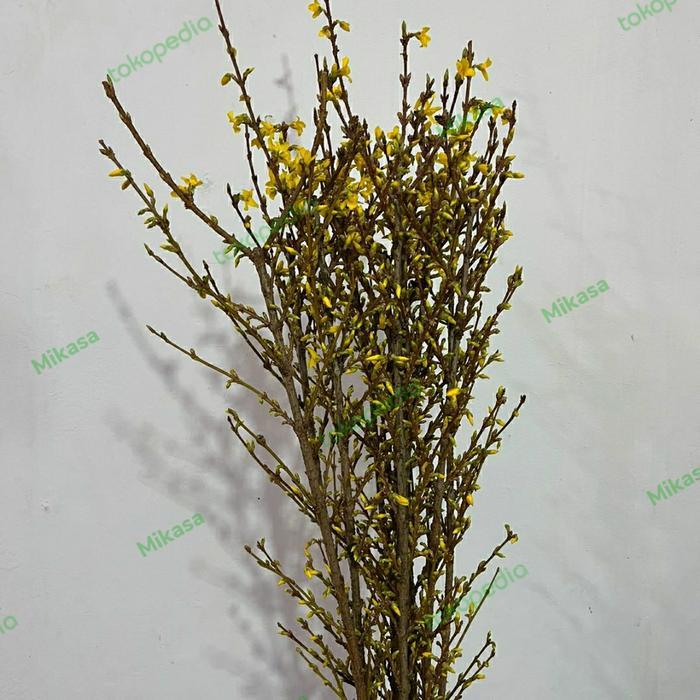 Hot Sale Bunga Sakura Imlek Bunga Sakura Bunga Tangkai