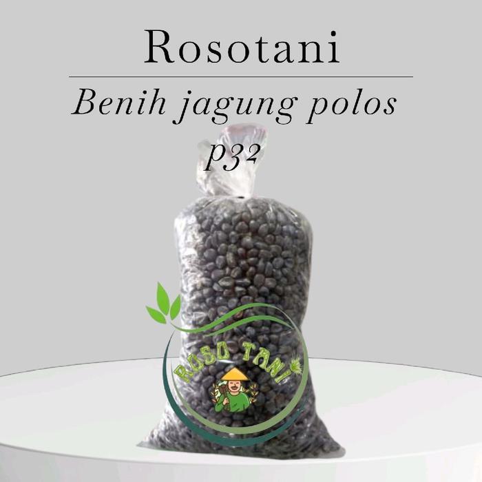 benih jagung hibrida pioner p32 polosan 1kg