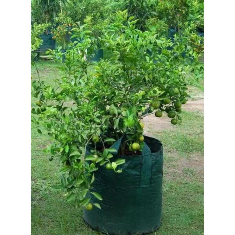 Planter bag 50 Liter