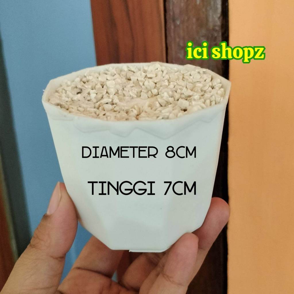 Pot Permata 8Cm Pot Instan + Busa Dan Batu