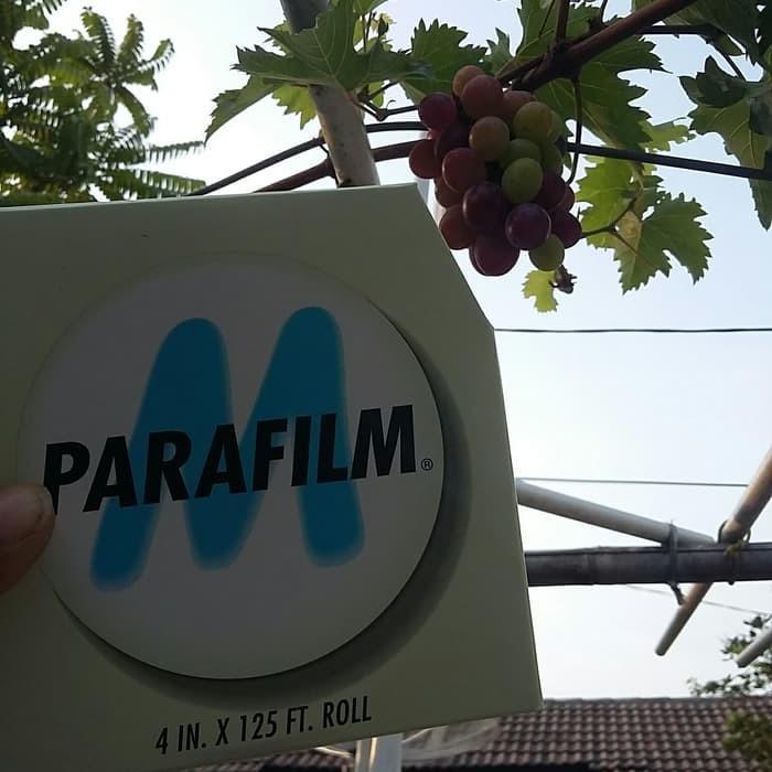 TamanHijau- Paket Hemat Parafilm Grafting Tape Dan Plastik Okuasi - Peralatan