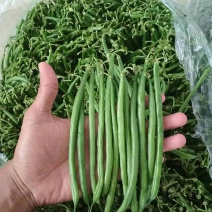 Baby Buncis Manis / Buncis Kenya Segar / Fresh