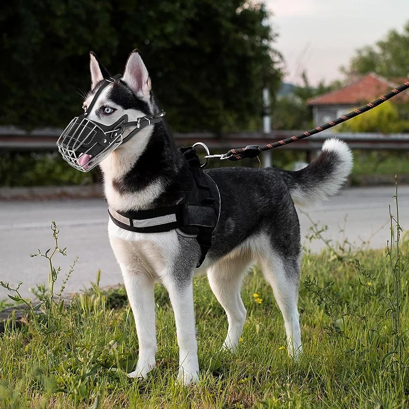 Dog Mouth Leather Protection Cover Adjustable & Breathable pet Metal Muzzle Anti-Bite Humane Basket
