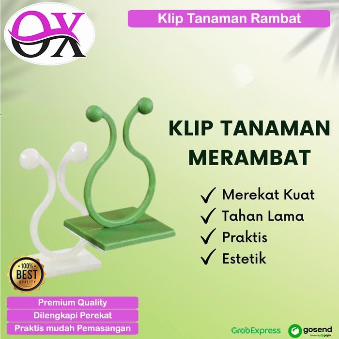 Klip Tanaman Rambat Tembok Penjepit Batang Bunga Merambat