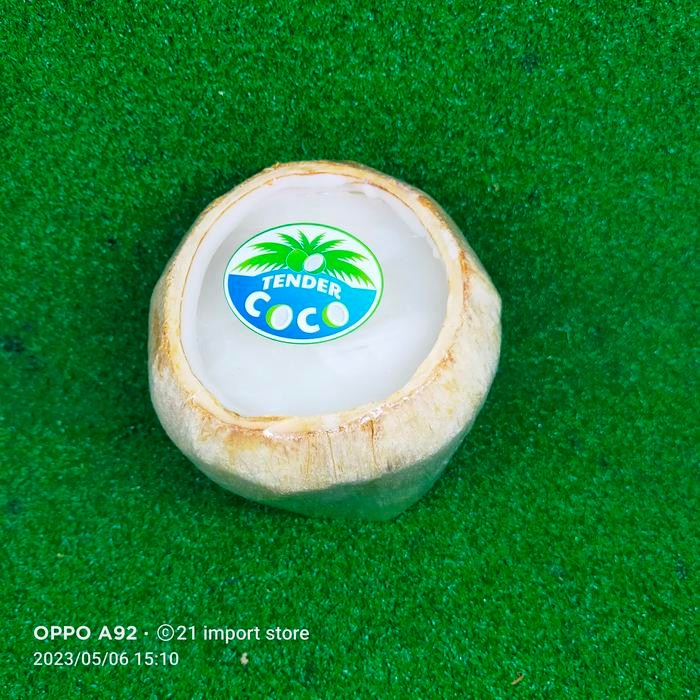 0tb6 Puding Kelapa Thai Di Dalam Batok Coconut Pudding Jelly 1 Pcs