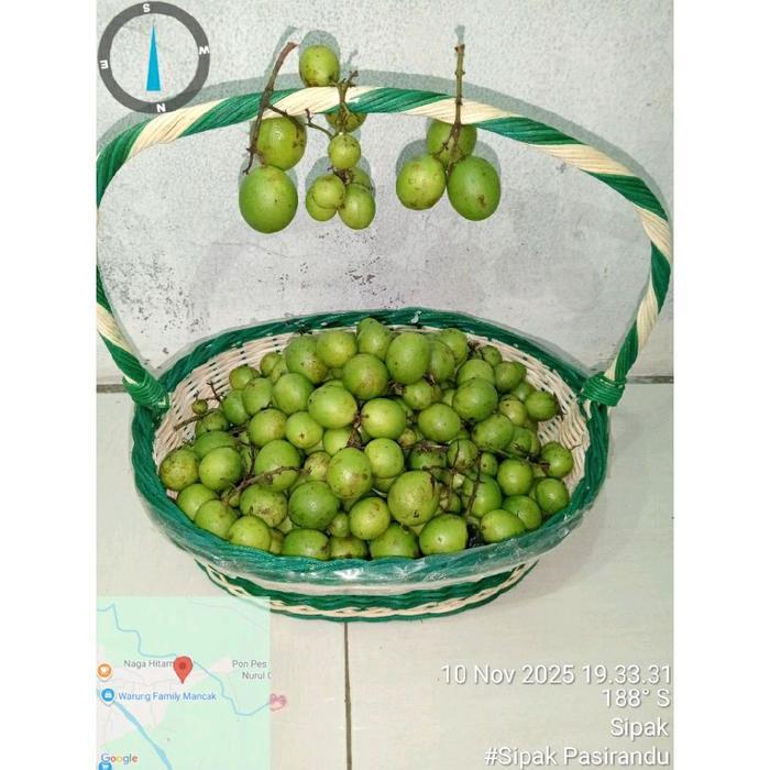 DISKON BUAH JATAKE GANDARIA RAMANIA Frozen