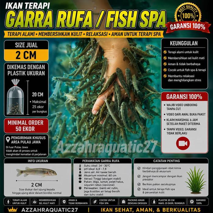 READY Ikan Terapi Garra Rufa Fish Spa Size 2 Cm Paket 50 Ekor Ikan Pembersih Kulit Spa Garra Rufa