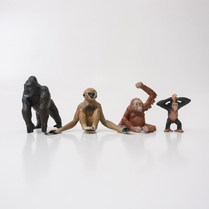Bunda - Malotoys - Wild Figurine Wild Animal Figure Mainan Model Toys Figur