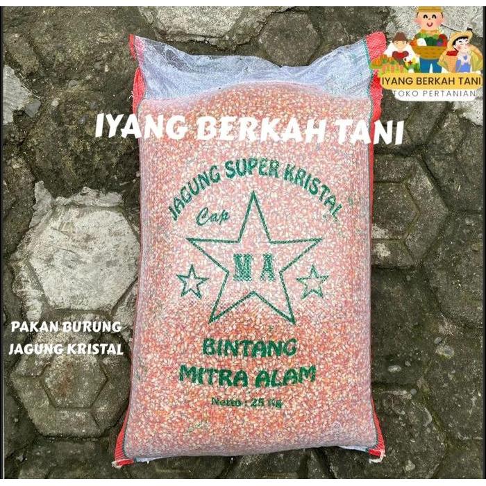 Jagung Kristal 1 Kg Jagung Pakan Merpati Balap Kolong Burung Dara Unggas Ayam Hamster