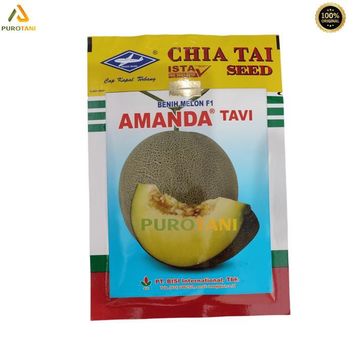 Benih Bibit Melon Amanda Tavi F1 Bisi 550 Biji Melon Cap Kapal Terbang