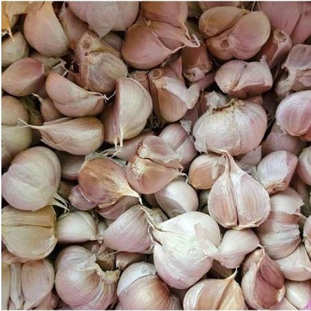PROMO bawang putih kating bersih bawang putih kating murah bawang kating potekan bawang cutting