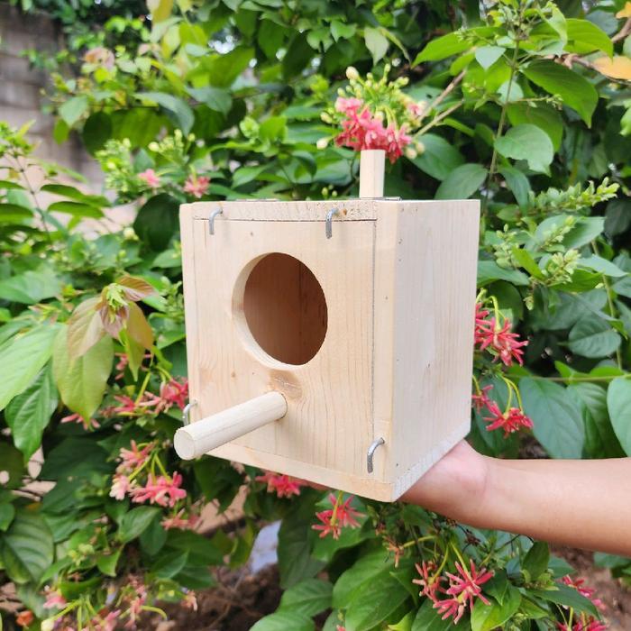 Glodok burung finch gelatik emprit bahan kayu jati londo