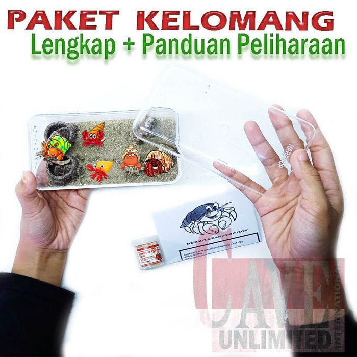 abmg- Paket Edukasi Mainan Anak Kelomang Keong Kumang Umang Kecil Mini