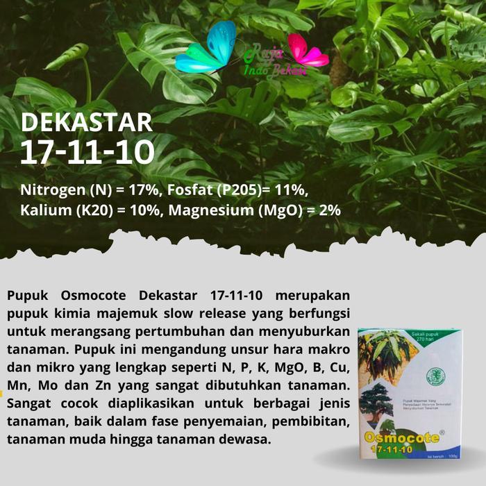 Osmocte Dekastar Plus 17 11 10 Te 500 Gram Pupuk Majemuk 500Gram