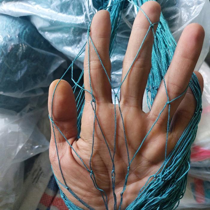 jaring nylon ARIDA 4 in D9 100x100 biru