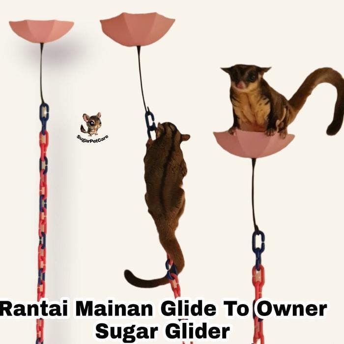 Rantai Mainan Glide To Owner Sugar Glider