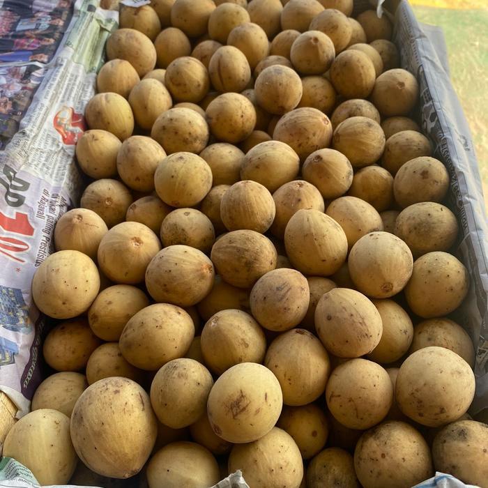 buah duku Komering manis