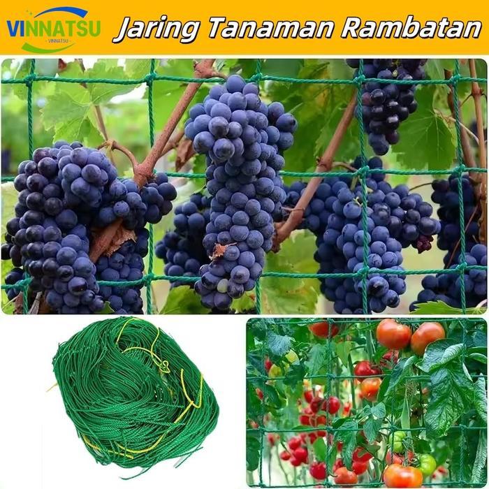 [Vinnatsu] Rambatan Tanaman Buah Merambat Plant Climbing Net Jaring Net Rambatan Tanaman Untuk