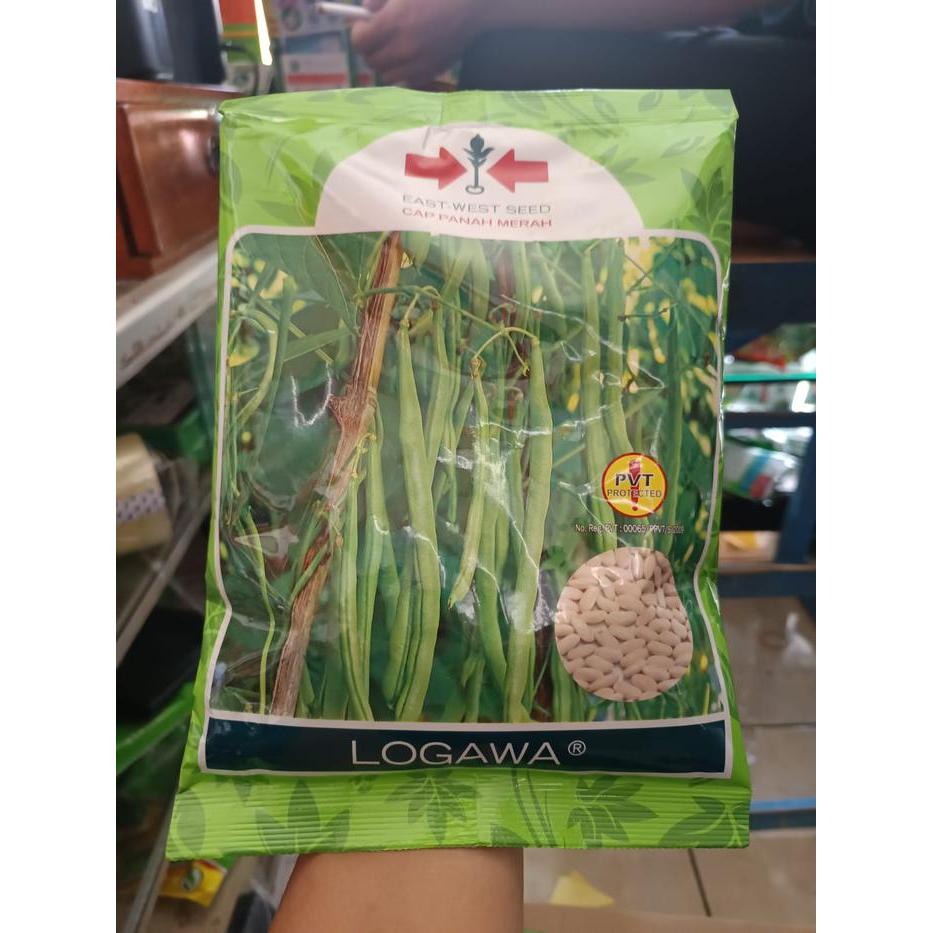 SALE BUNCIS LOGAWA.BENIH LOGAWA,BENIH BUNCIS LOGAWA 500 GRAM