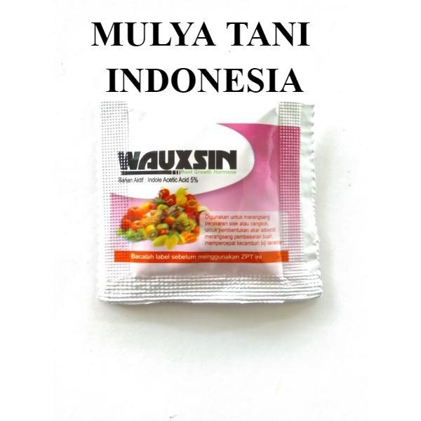 WAUXSIN auxin zpt akar, hormon perangsang & penumbuh akar tanaman