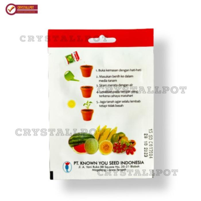 Tanamsegar- Benih Bibit Sawi Pakcoy Nai Bai Known You Seed - Kys Sawi Pakcoy Nai Bai