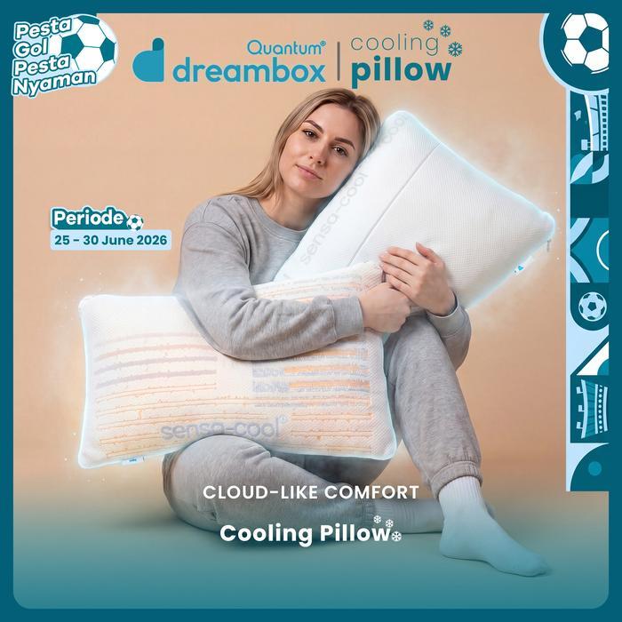 Quantum Dreambox Cooling Pillow / Bantal Dingin / Dual Comfort
