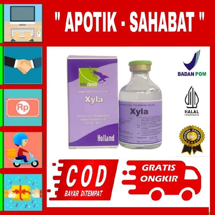 TERLARIS Xyla Holland 50ml InterchemieObat Penenang dan Analgesik untuk Premedikasi Hewan Ternak