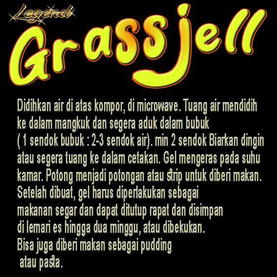 SULCATA GRASS JELL PUDDING PAKAN SULCATA CENTHROCHELYS SULCATA SULKATA TORTOISE RUMPUT TIMOTHY