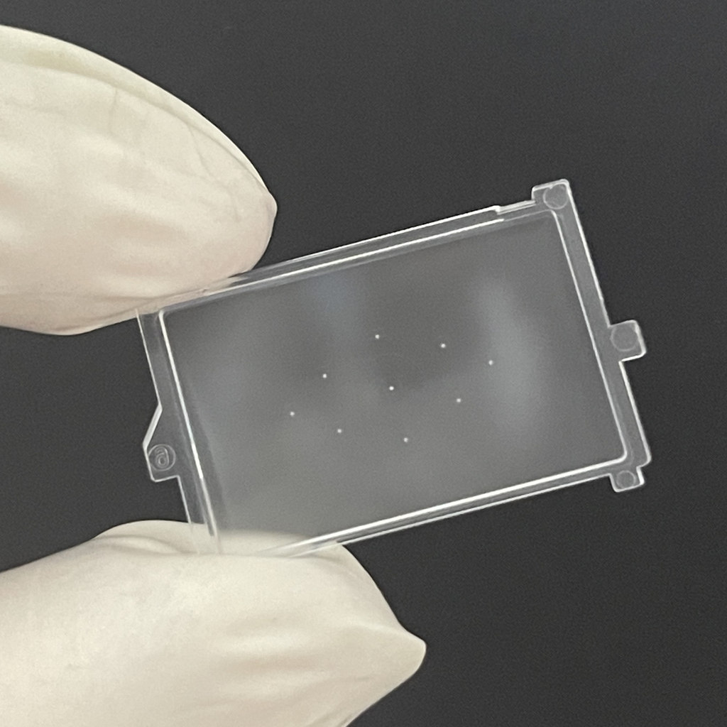 NEW Original For Canon EOS 250D / Rebel SL3/ EOS 200D Focusing Screen